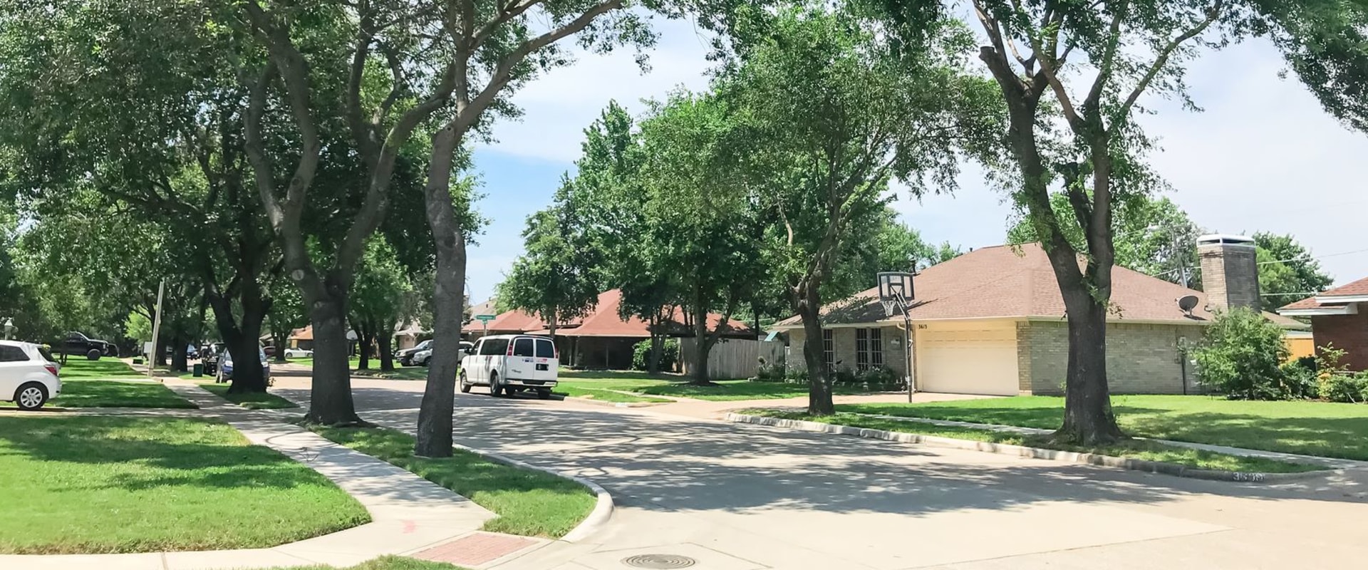 Preserving Urban Canopy: Professional Tree Service Solutions For Urban Forestry In New Tampa, FL