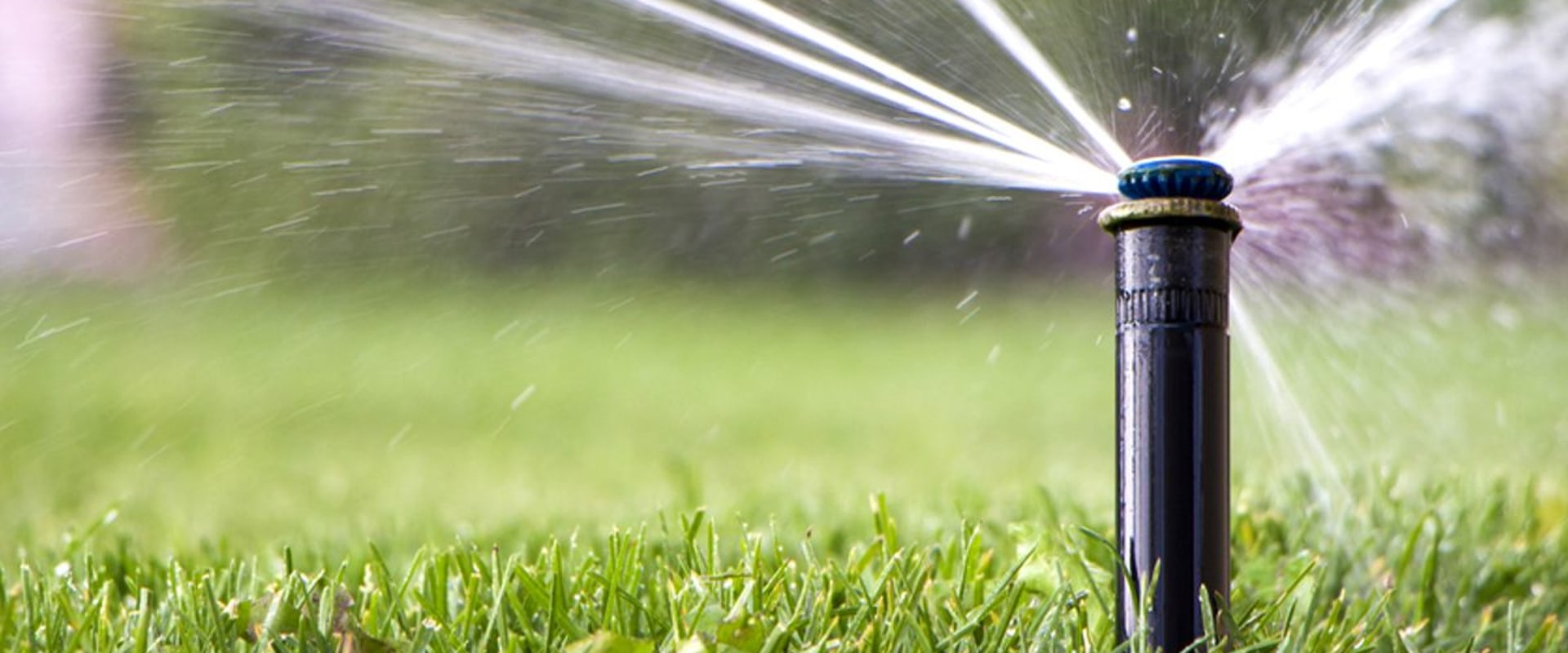 The Role Of Sprinkler Systems In Maintaining Omaha's Urban Forest