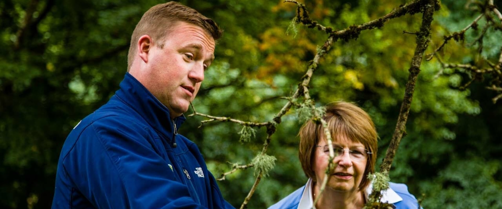 Tree Talk: The Crucial Role Of Arborist Consultation Services In North Shore's Urban Forestry