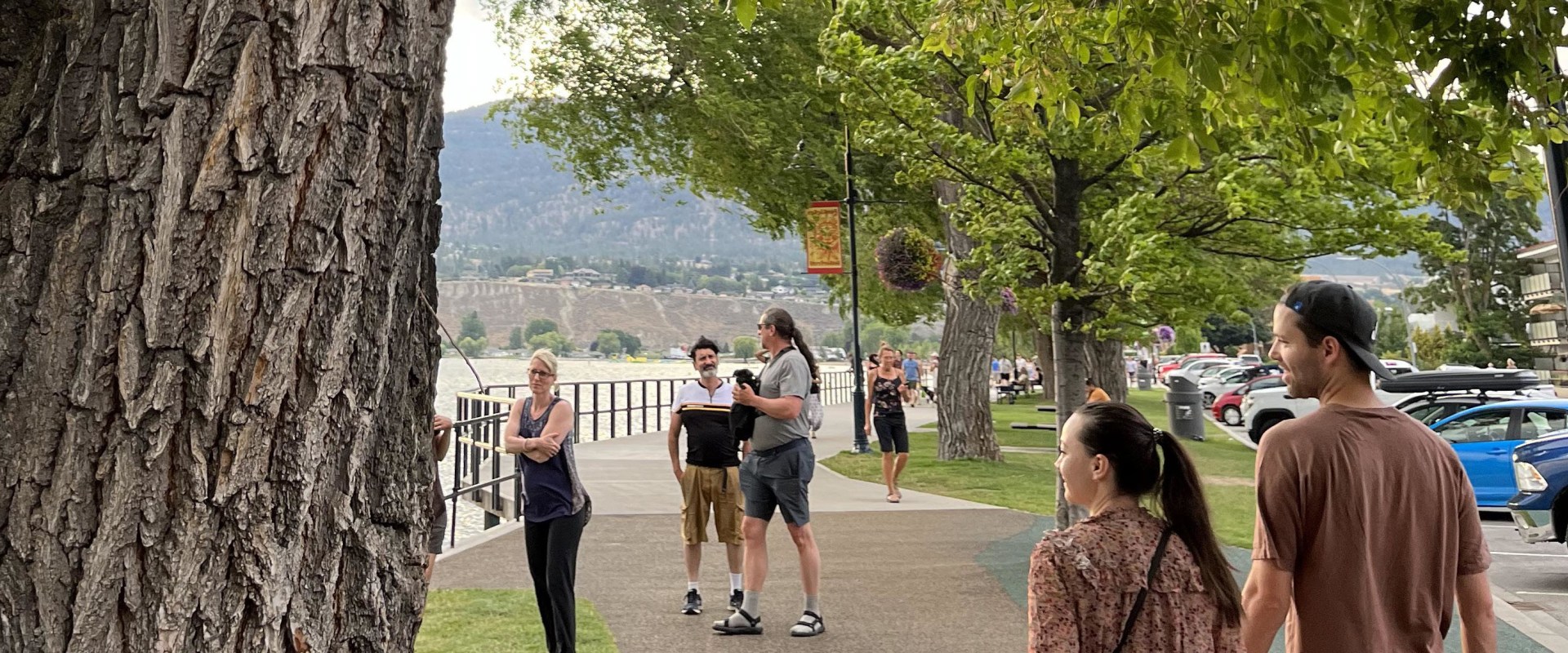 Strategic Management: Why Lot Clearing Services Are Crucial For Urban Forestry In Johnson City