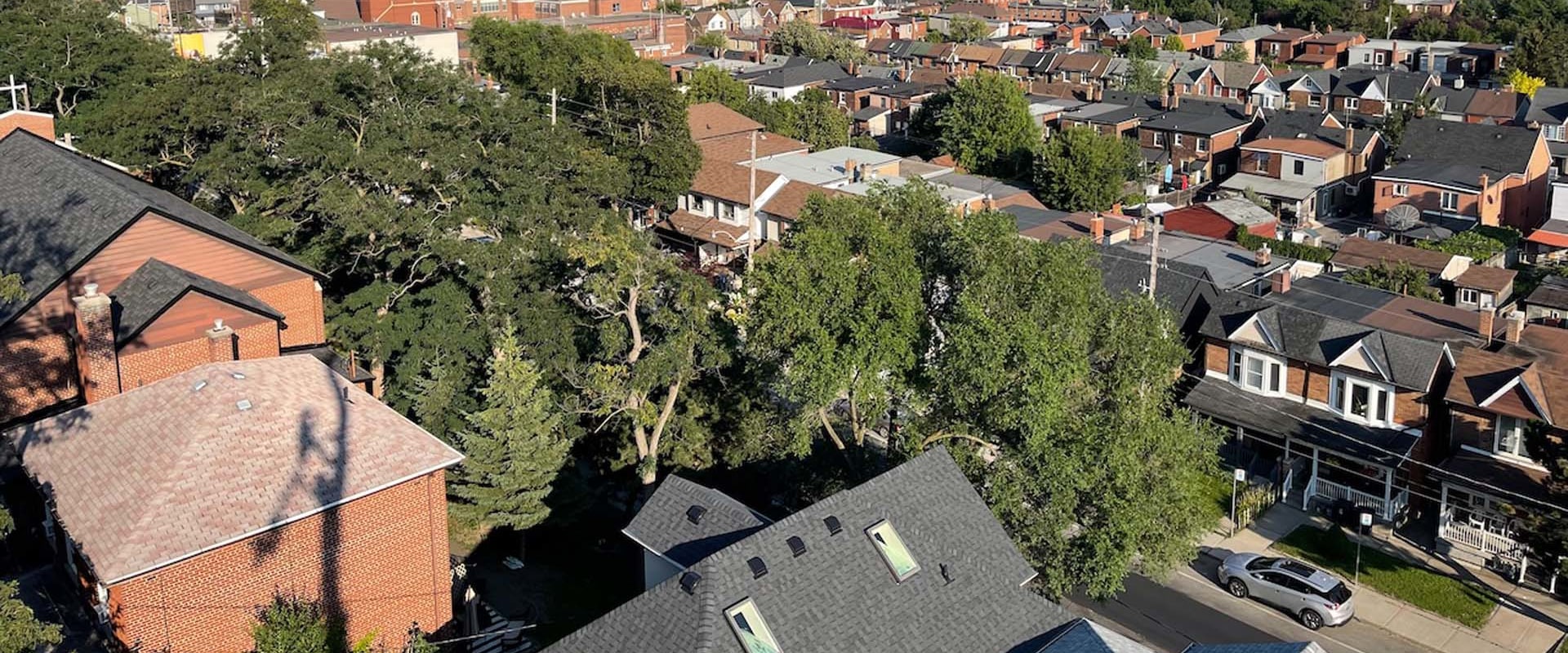 Improving Urban Forest Health Through Effective Sprinkler Maintenance In Northern VA