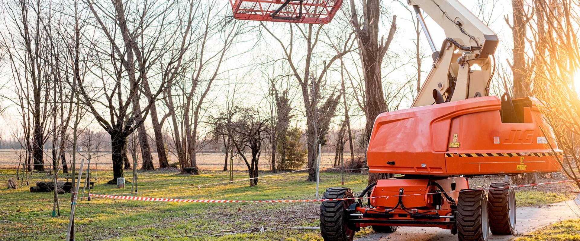 Enhancing The Beauty Of Bethany With Tree Service And Urban Forestry