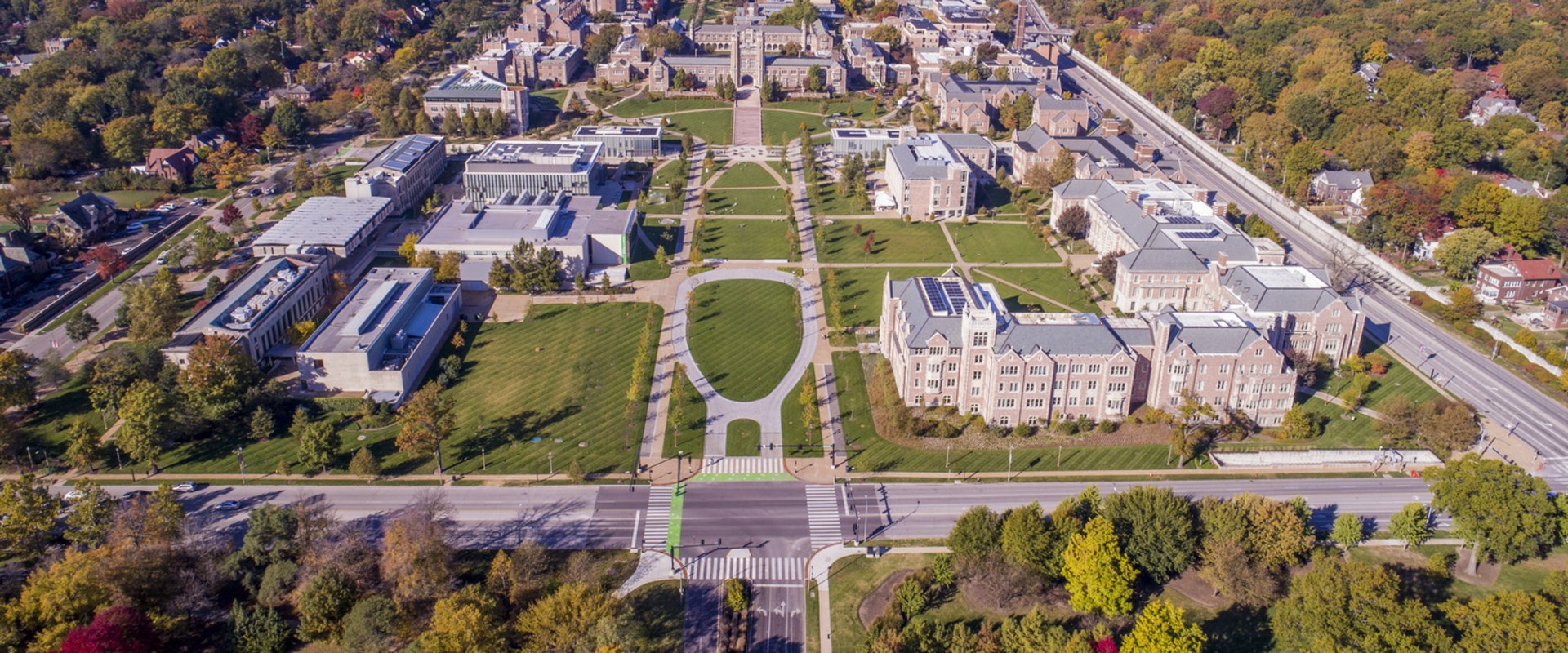 Glowing Growth: Low Voltage Landscape Lighting's Impact On Urban Forestry In Austin
