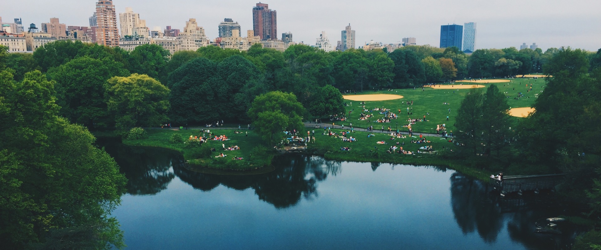 Why are urban forests important?