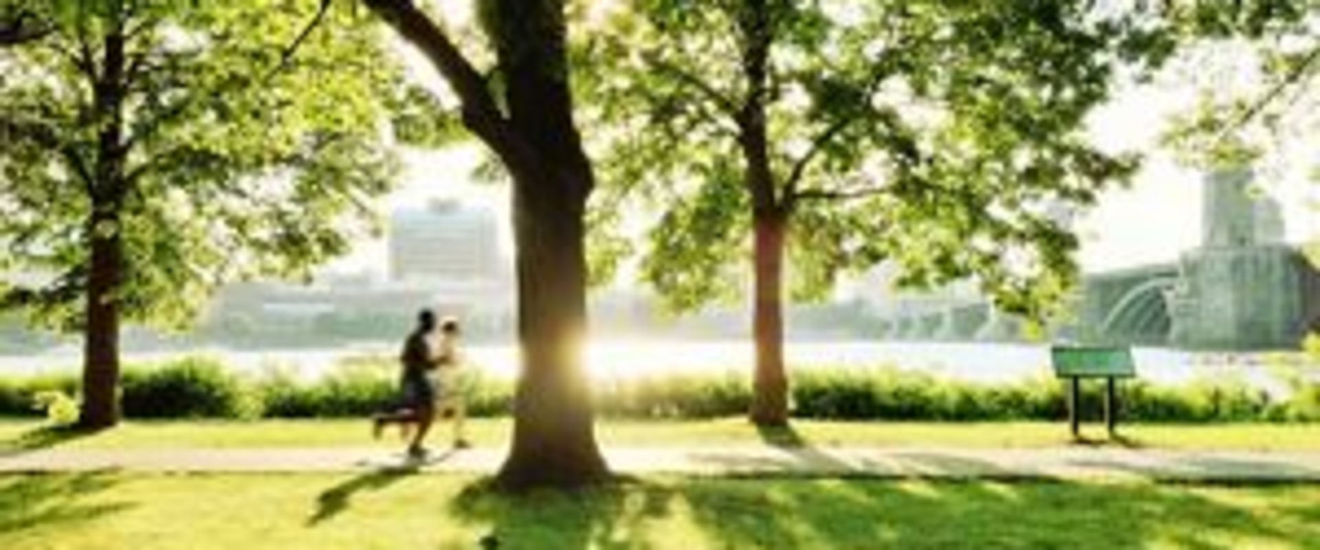 What makes a healthy urban forest?
