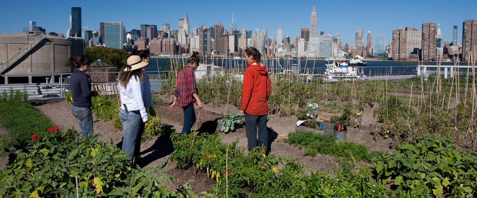 What is the purpose of urban farming?