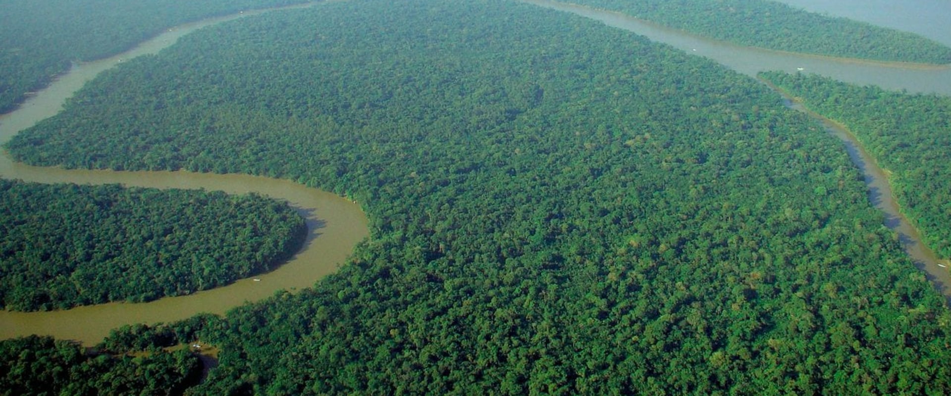 What is the biggest forest in the world?
