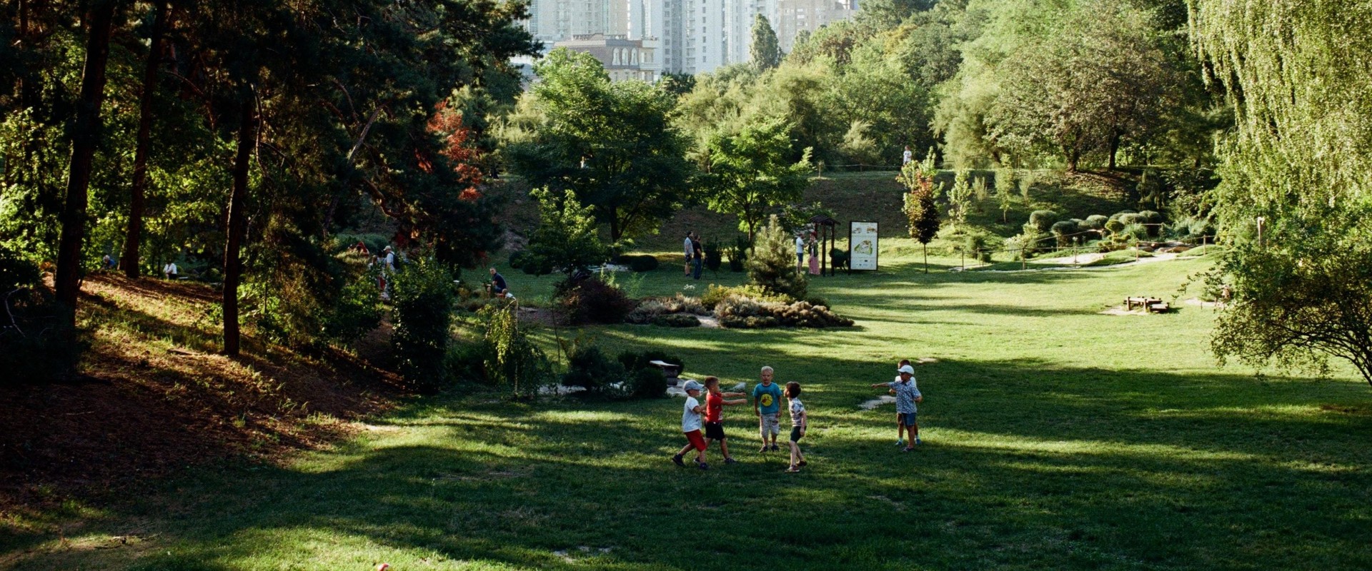 How do urban forests work?