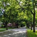 What is an urban tree canopy?