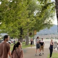 Strategic Management: Why Lot Clearing Services Are Crucial For Urban Forestry In Johnson City