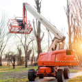 Enhancing The Beauty Of Bethany With Tree Service And Urban Forestry