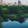 Why are urban forests important?