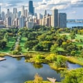 What does urban forestry include?