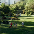 What is the importance of urban forest?