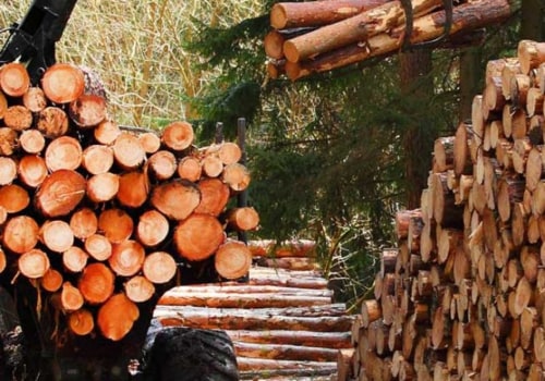 How big is the forestry industry in the us?