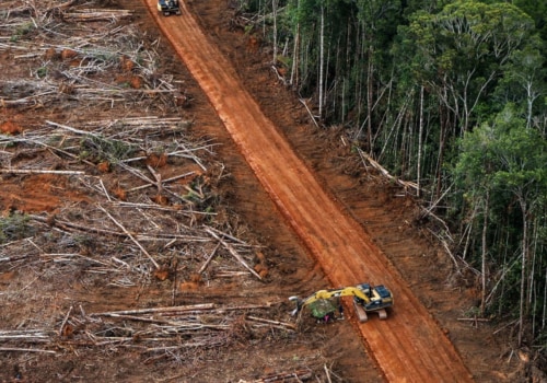 How long until all forests are gone?