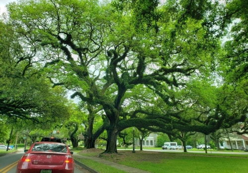 What defines an urban forest?