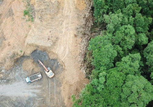 Are the earth's forests disappearing?