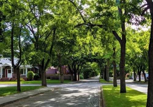 What is an urban tree canopy?