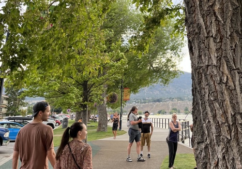 Strategic Management: Why Lot Clearing Services Are Crucial For Urban Forestry In Johnson City