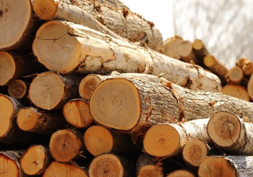 Is the forestry industry growing?
