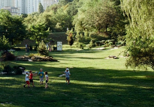 Which type of function is urban forestry?