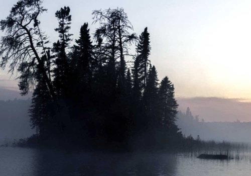 What country has the largest forest within a city?