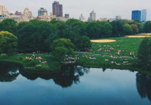 Why are urban forests important?