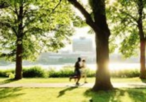 What makes a healthy urban forest?