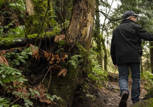 What are the benefits of urban forests?