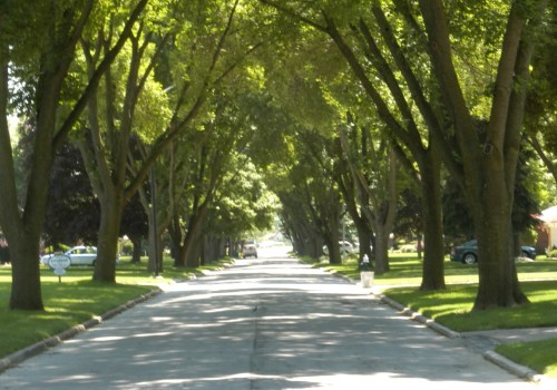 What are 2 benefits to having trees in urban areas?